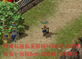 ����˽��˽������999������ο���ˢװ��������Boss���Լ�������Щ��