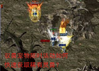 驭兽宠物限时活动如何快速获取稀有灵兽? 驭兽宠物限时活动如何快速获取稀有灵兽?