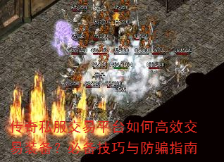 ����˽������ƽ̨��θ�Ч����װ�����ر��������ƭָ��