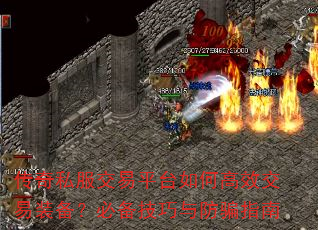 ����˽������ƽ̨��θ�Ч����װ�����ر��������ƭָ��