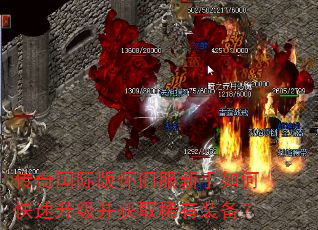 ������ʰ滳�ɷ�������ο�����������ȡϡ��װ����
