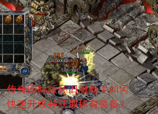 ������ʰ滳�ɷ�������ο�����������ȡϡ��װ����