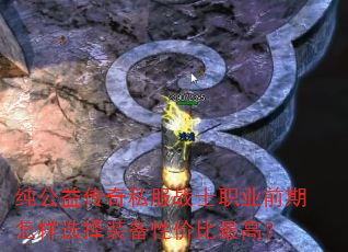 �����洫��˽��սʿְҵǰ������ѡ��װ���Լ۱���ߣ�