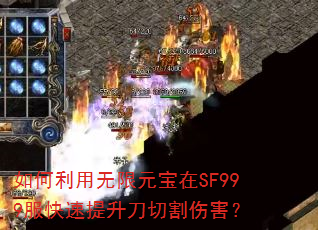 �����������Ԫ����SF999�������������и��˺���