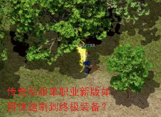 传奇私服单职业新版如何快速刷到终极装备? 传奇私服单职业新版如何快速刷到终极装备?