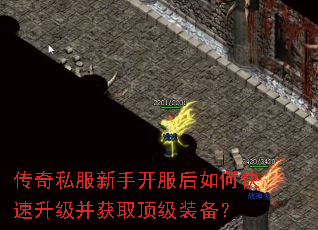 传奇私服新手开服后如何快速升级并获取顶级装备? 传奇私服新手开服后如何快速升级并获取顶级装备?