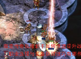 ΢�䴫��˽��������ο�������ս����ְҵѡ����װ����ȡ��������Щ��