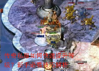 传奇私服如何快速提升等级?新手必看技巧解析 传奇私服如何快速提升等级?新手必看技巧解析