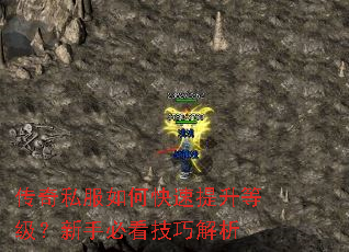 传奇私服如何快速提升等级?新手必看技巧解析 传奇私服如何快速提升等级?新手必看技巧解析