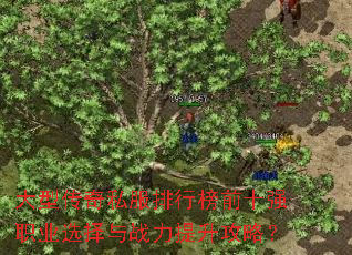 大型传奇私服排行榜前十强职业选择与战力提升攻略? 大型传奇私服排行榜前十强职业选择与战力提升攻略?