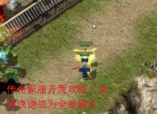 传奇新服开荒攻略?如何快速成为全服霸主 传奇新服开荒攻略?如何快速成为全服霸主