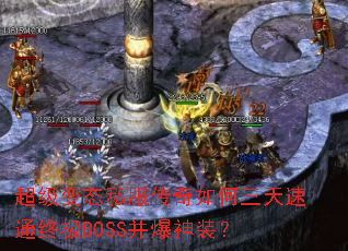 ������̬˽���������������ͨ�ռ�BOSS������װ��