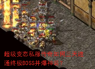 ������̬˽���������������ͨ�ռ�BOSS������װ��
