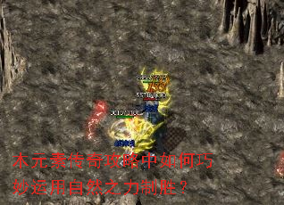 木元素传奇攻略中如何巧妙运用自然之力制胜? 木元素传奇攻略中如何巧妙运用自然之力制胜?