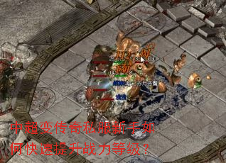 中超变传奇私服新手如何快速提升战力等级? 中超变传奇私服新手如何快速提升战力等级?