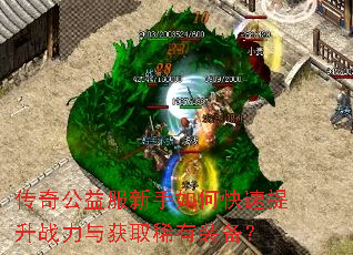 传奇公益服新手如何快速提升战力与获取稀有装备? 传奇公益服新手如何快速提升战力与获取稀有装备?