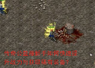 传奇公益服新手如何快速提升战力与获取稀有装备? 传奇公益服新手如何快速提升战力与获取稀有装备?