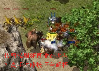 传奇私服SF直播在哪看?高手攻略技巧全解析 传奇私服SF直播在哪看?高手攻略技巧全解析