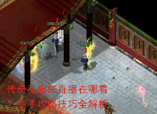 传奇私服SF直播在哪看?高手攻略技巧全解析 传奇私服SF直播在哪看?高手攻略技巧全解析