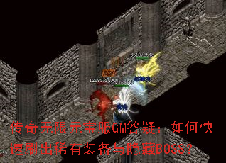 ��������Ԫ����GM���ɣ���ο���ˢ��ϡ��װ��������BOSS��