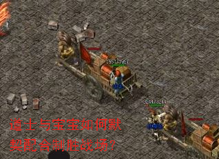 道士与宝宝如何默契配合制胜战场? 道士与宝宝如何默契配合制胜战场?