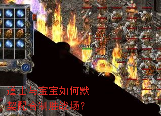 道士与宝宝如何默契配合制胜战场? 道士与宝宝如何默契配合制胜战场?