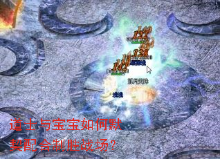 道士与宝宝如何默契配合制胜战场? 道士与宝宝如何默契配合制胜战场?