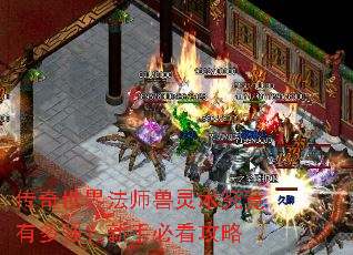 传奇世界法师兽灵术究竟有多强?新手必看攻略 传奇世界法师兽灵术究竟有多强?新手必看攻略