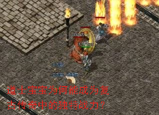 道士宝宝为何能成为复古传奇中的独特战力? 道士宝宝为何能成为复古传奇中的独特战力?