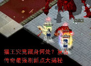 è�����������δ������Ŵ�����ǿˢ�µ�����
