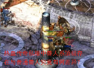 ��Ѫ����˽��������ϵ������������ͨ���˾����кβ��죿