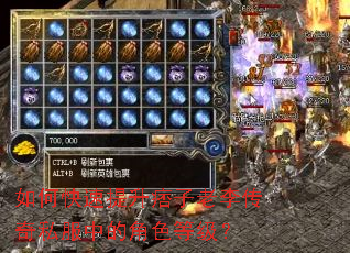 如何快速提升痞子老李传奇私服中的角色等级? 如何快速提升痞子老李传奇私服中的角色等级?