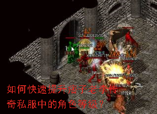 如何快速提升痞子老李传奇私服中的角色等级? 如何快速提升痞子老李传奇私服中的角色等级?