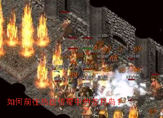 ���ǰ����Ѫ�����еĲ��µ���