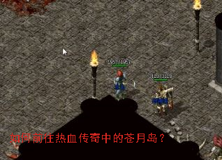 ���ǰ����Ѫ�����еĲ��µ���