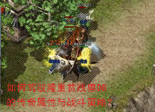 如何驾驭隆重贫贱兽DB的传奇属性与战斗策略? 如何驾驭隆重贫贱兽DB的传奇属性与战斗策略?