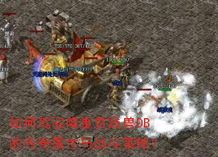 如何驾驭隆重贫贱兽DB的传奇属性与战斗策略? 如何驾驭隆重贫贱兽DB的传奇属性与战斗策略?