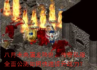 八月未央屠龙降世,传奇私服全面公测如何快速提升战力? 八月未央屠龙降世,传奇私服全面公测如何快速提升战力?