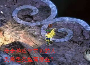 传奇游戏里常见的人类角色类型有哪些? 传奇游戏里常见的人类角色类型有哪些?