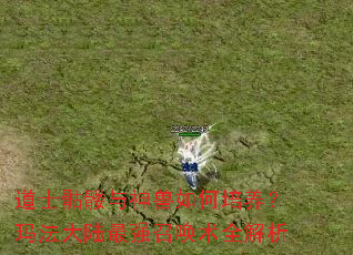 道士骷髅与神兽如何培养?玛法大陆最强召唤术全解析 道士骷髅与神兽如何培养?玛法大陆最强召唤术全解析