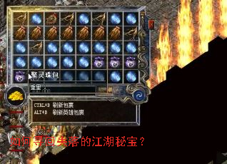 如何寻回失落的江湖秘宝? 如何寻回失落的江湖秘宝?