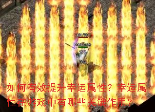 如何有效提升幸运属性?幸运属性在游戏中有哪些关键作用? 如何有效提升幸运属性?幸运属性在游戏中有哪些关键作用?