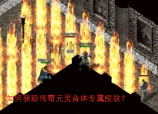 如何获取传奇元灵合体专属皮肤? 如何获取传奇元灵合体专属皮肤?