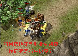如何快速在单职业满级热血传奇变态服中称霸? 如何快速在单职业满级热血传奇变态服中称霸?