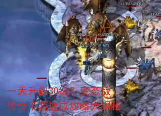 һ������30������̬�洫�������ٳɹ��Դ����