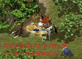 有哪些隐藏升级技巧是传奇老玩家不愿透露的秘密? 有哪些隐藏升级技巧是传奇老玩家不愿透露的秘密?