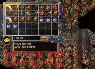 绿遍传奇新服:康敏长老如何快速提升等级? 绿遍传奇新服:康敏长老如何快速提升等级?