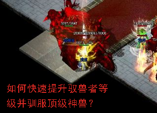 如何快速提升驭兽者等级并驯服顶级神兽? 如何快速提升驭兽者等级并驯服顶级神兽?