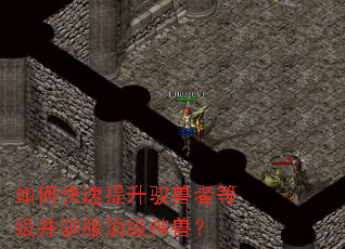 如何快速提升驭兽者等级并驯服顶级神兽? 如何快速提升驭兽者等级并驯服顶级神兽?