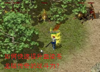 如何快速提升血染苍龙版传奇的战斗力? 如何快速提升血染苍龙版传奇的战斗力?